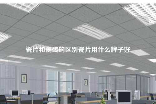 瓷片和瓷磚的區別瓷片用什么牌子好