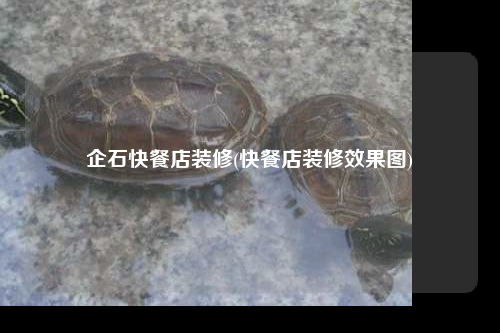 企石快餐店裝修(快餐店裝修效果圖)