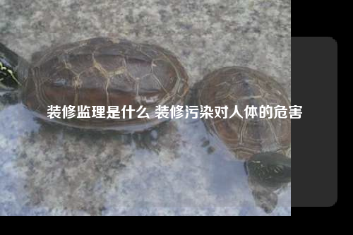 裝修監理是什么 裝修污染對人體的危害