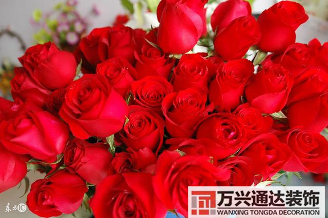 風水異性緣女生增加異性緣的風水