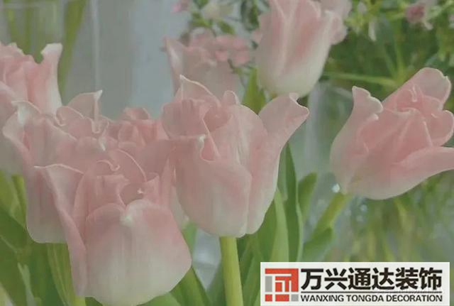 美國裝修美國裝修房子的流程