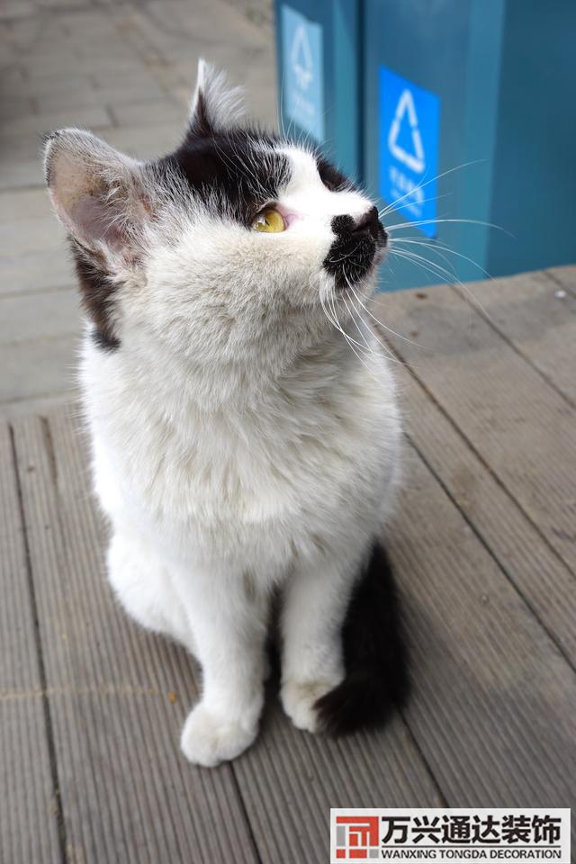 辦公室東邊門風(fēng)水最好座位圖辦公室門方位風(fēng)水