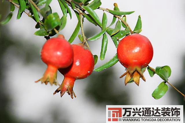 風水好的名字名字風水