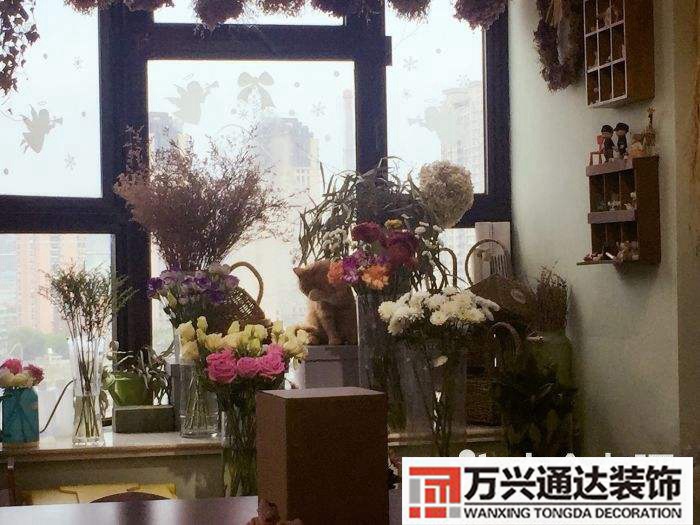 多肉花店裝修多肉植物花店效果圖