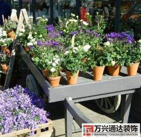花店裝修花店裝修多少錢