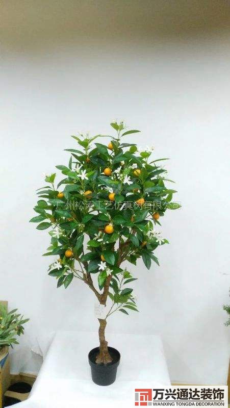 橘子樹風(fēng)水橘子樹風(fēng)水好嗎